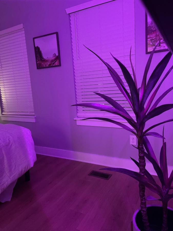 Classy, Cozy, Close To Downtown Nashville Exteriör bild